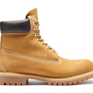 Timberlands 6-Inch Premium Waterproof Boots
